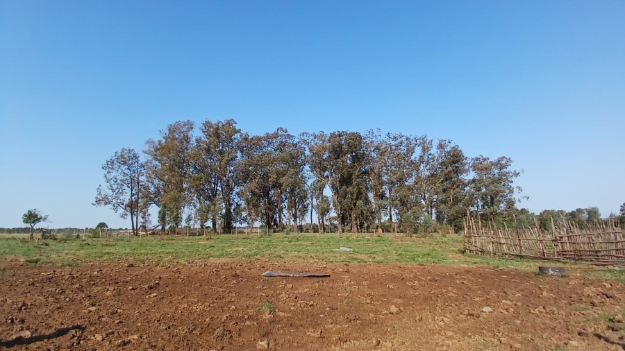Commercial Property for Sale in Bathurst Eastern Cape